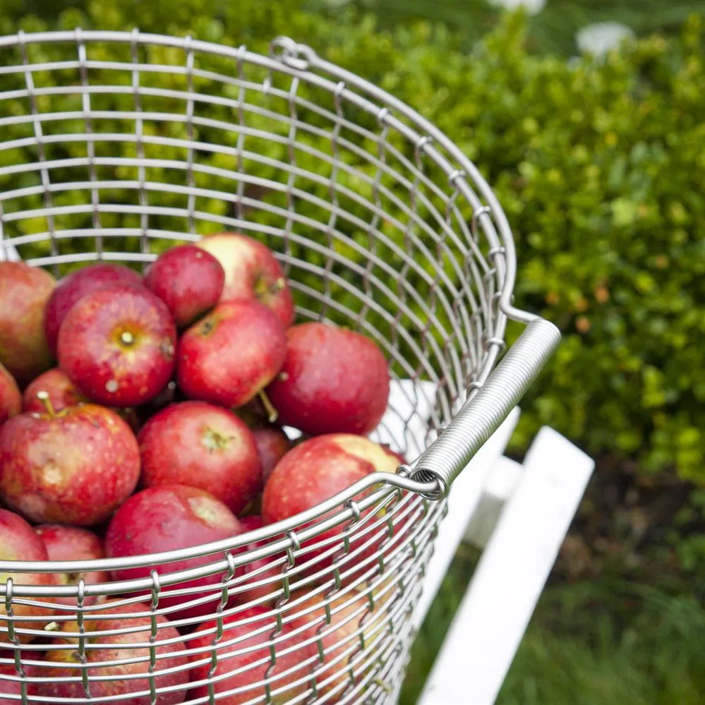 Korbo κουβάς 24, γαλβανισμένο ατσάλι KORBO
