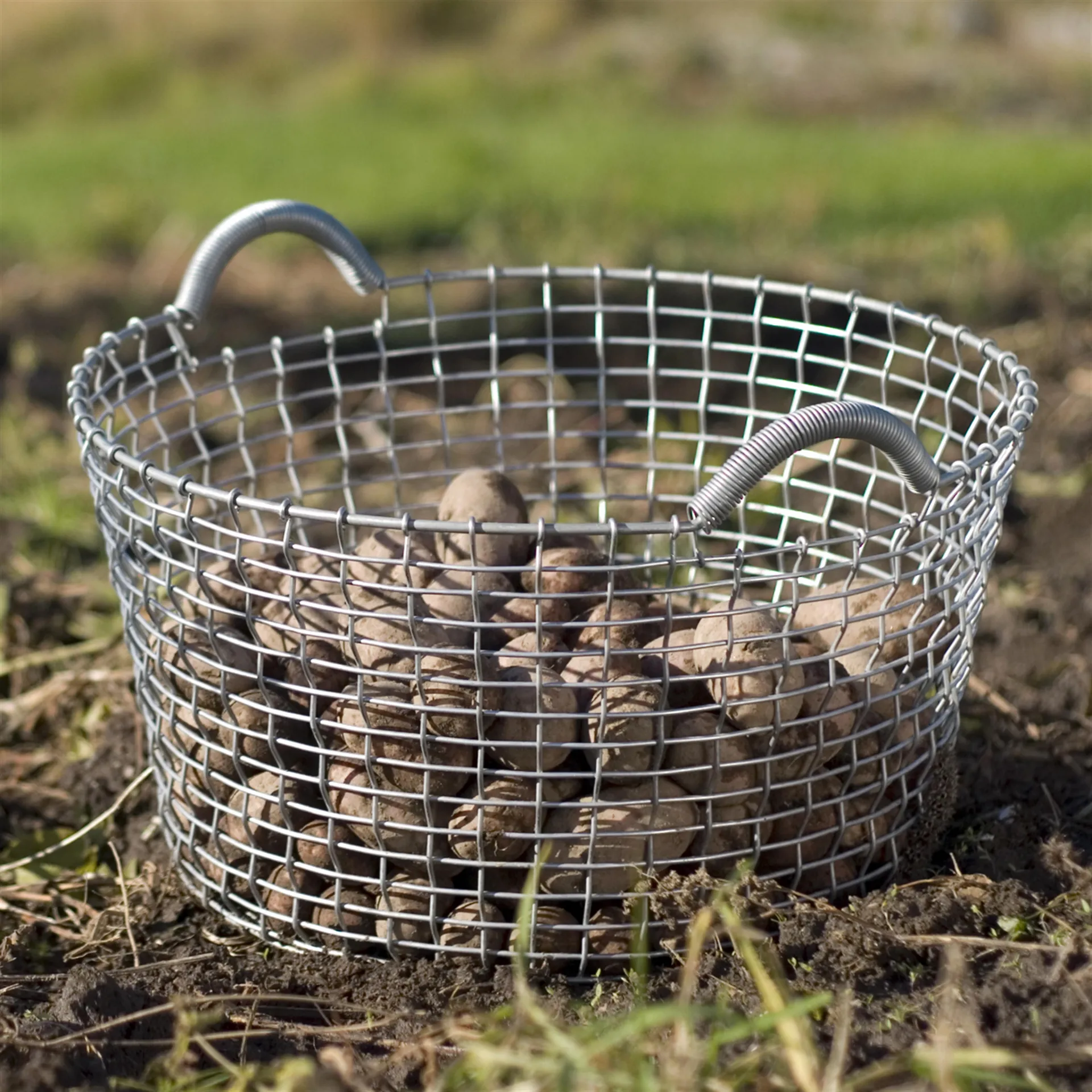 Korbo classic 35, γαλβανισμένο ατσάλι KORBO