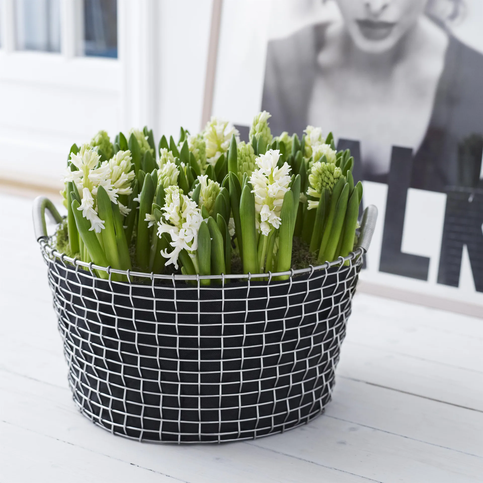 Korbo classic 35, γαλβανισμένο ατσάλι KORBO