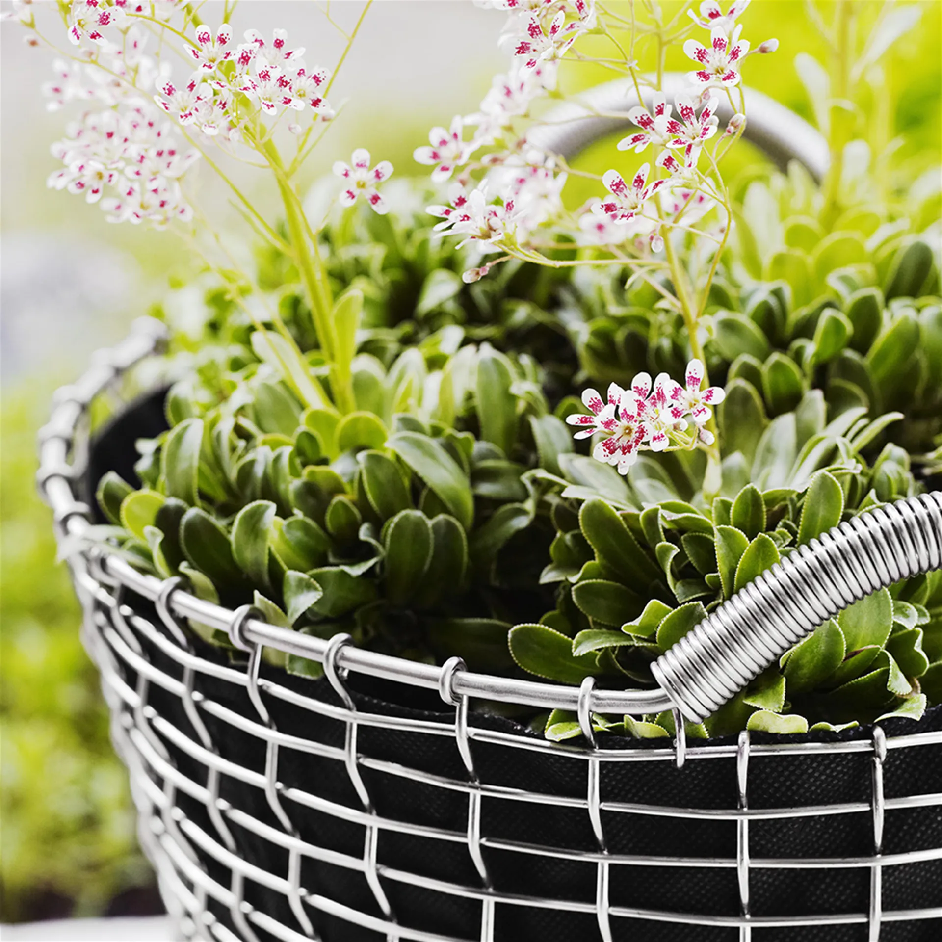 Korbo classic 35, ανοξείδωτο ατσάλι KORBO