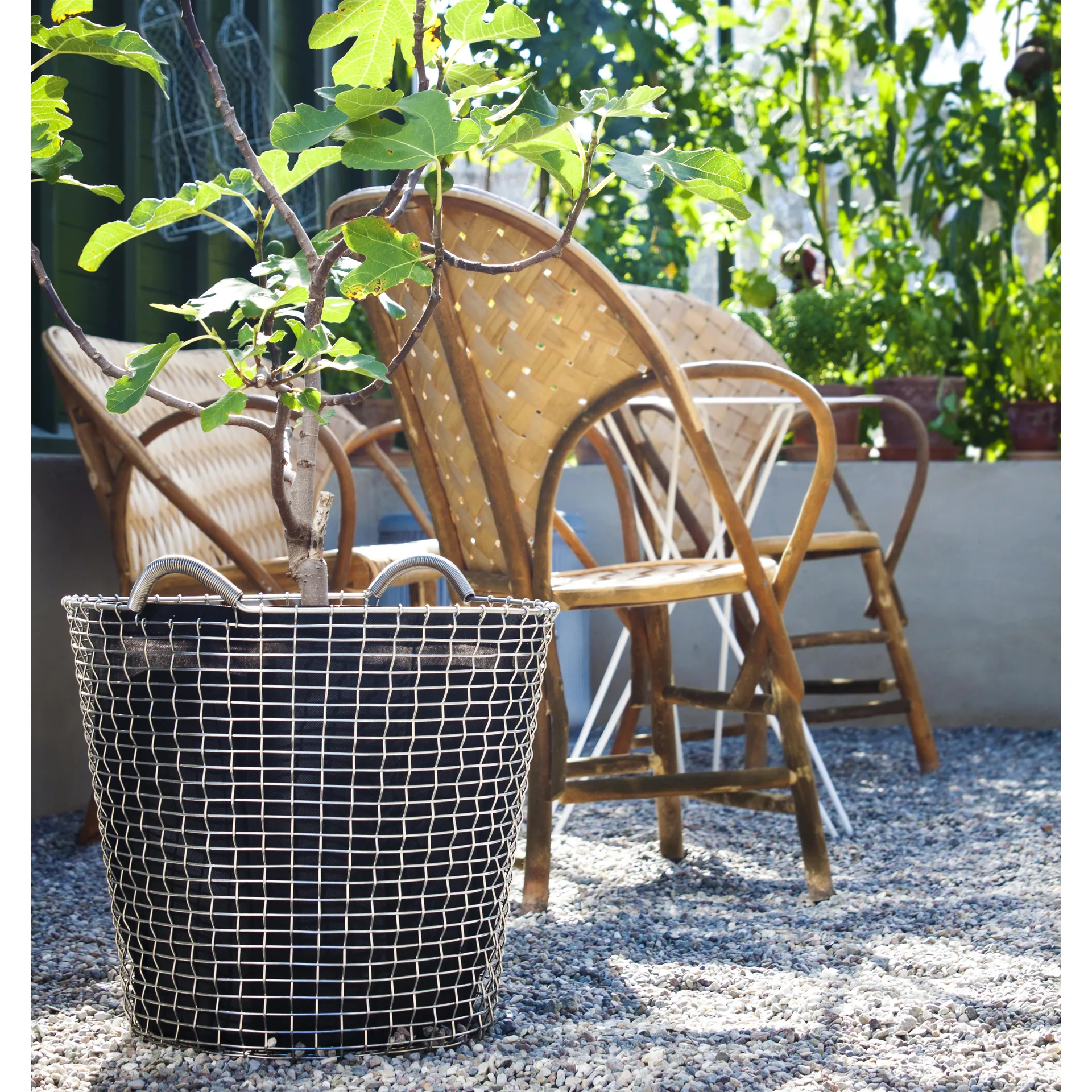 Korbo classic 65, ανοξείδωτο ατσάλι KORBO