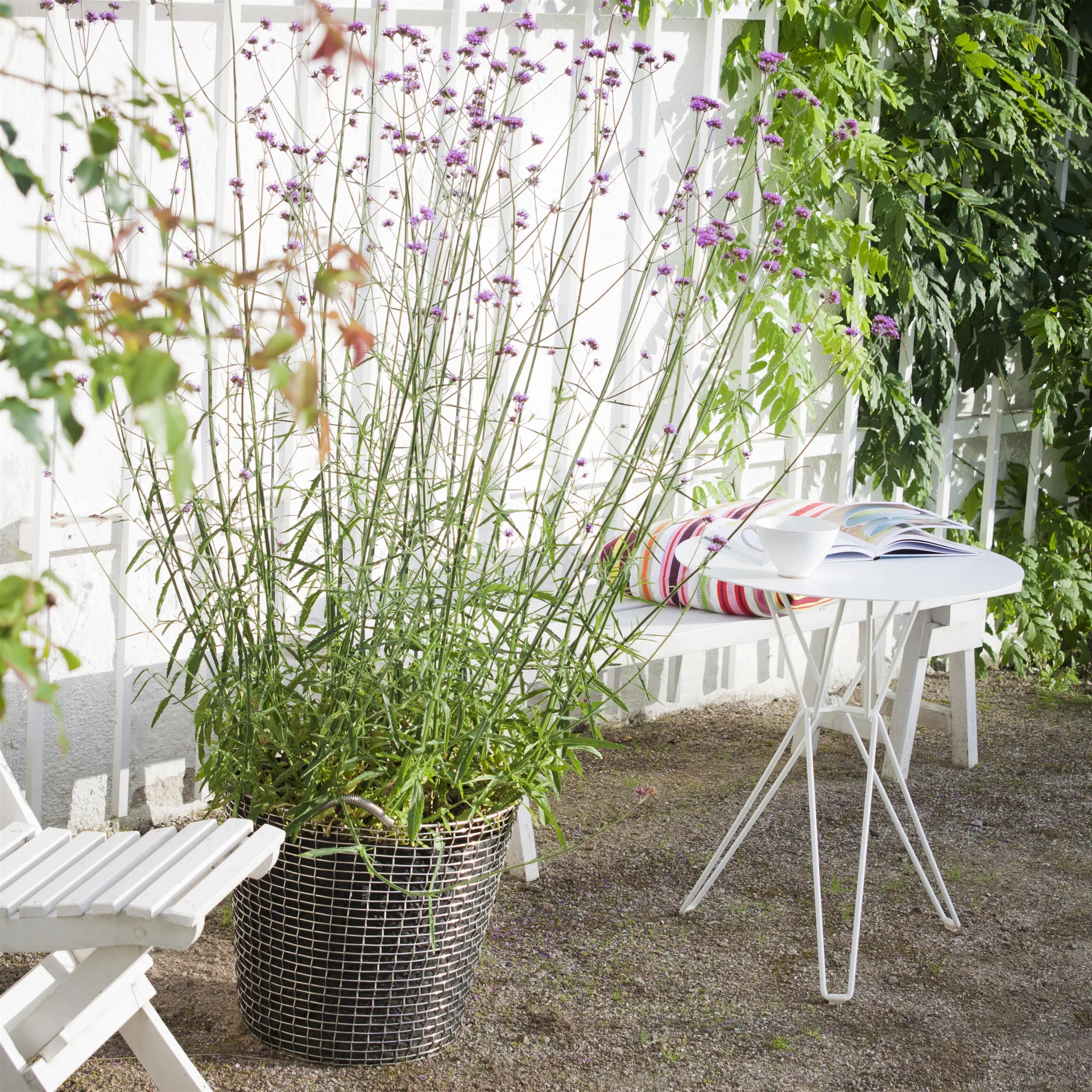 Korbo classic 65, ανοξείδωτο ατσάλι KORBO