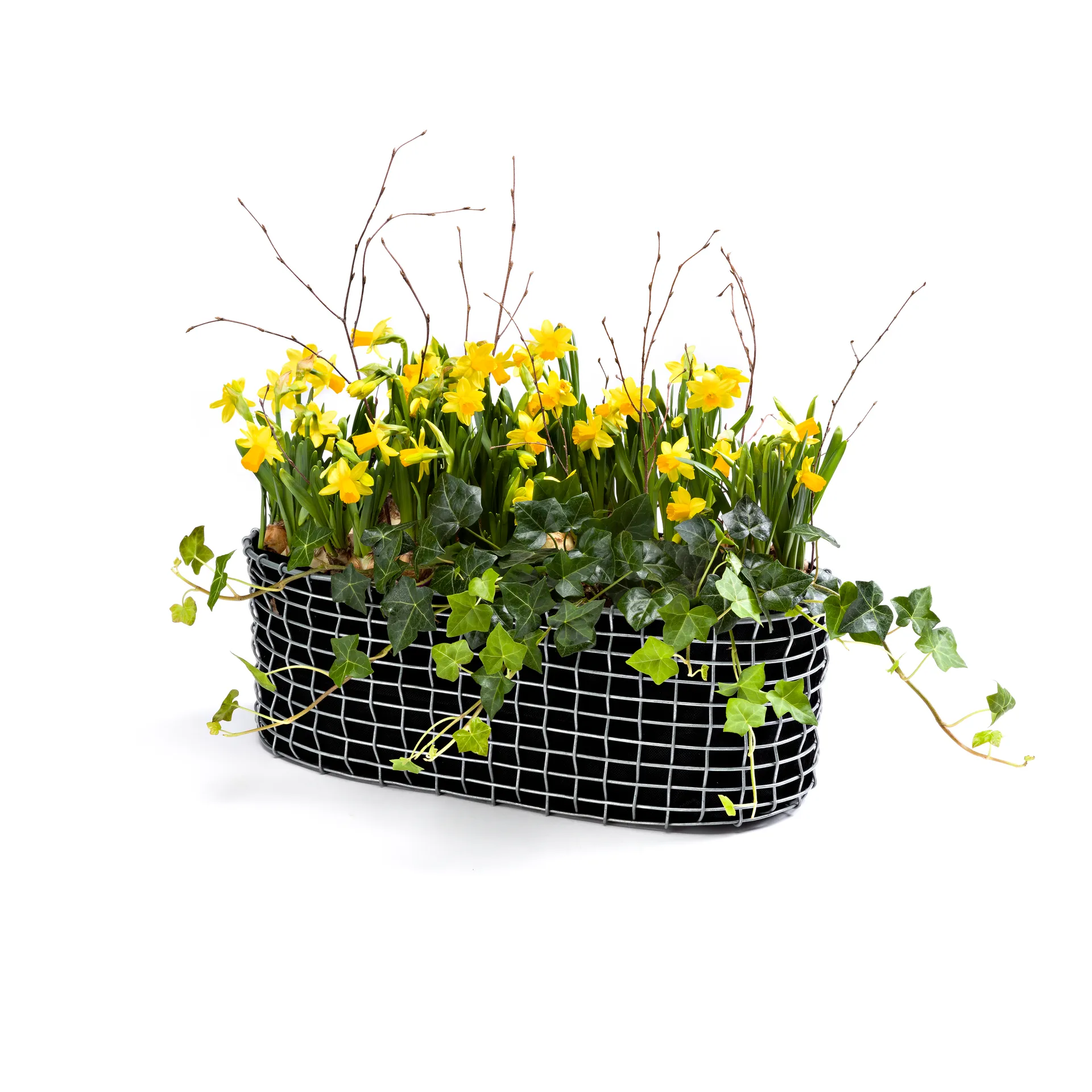 Korbo κουτί μπαλκονιού, Ανοξείδωτο ατσάλι KORBO