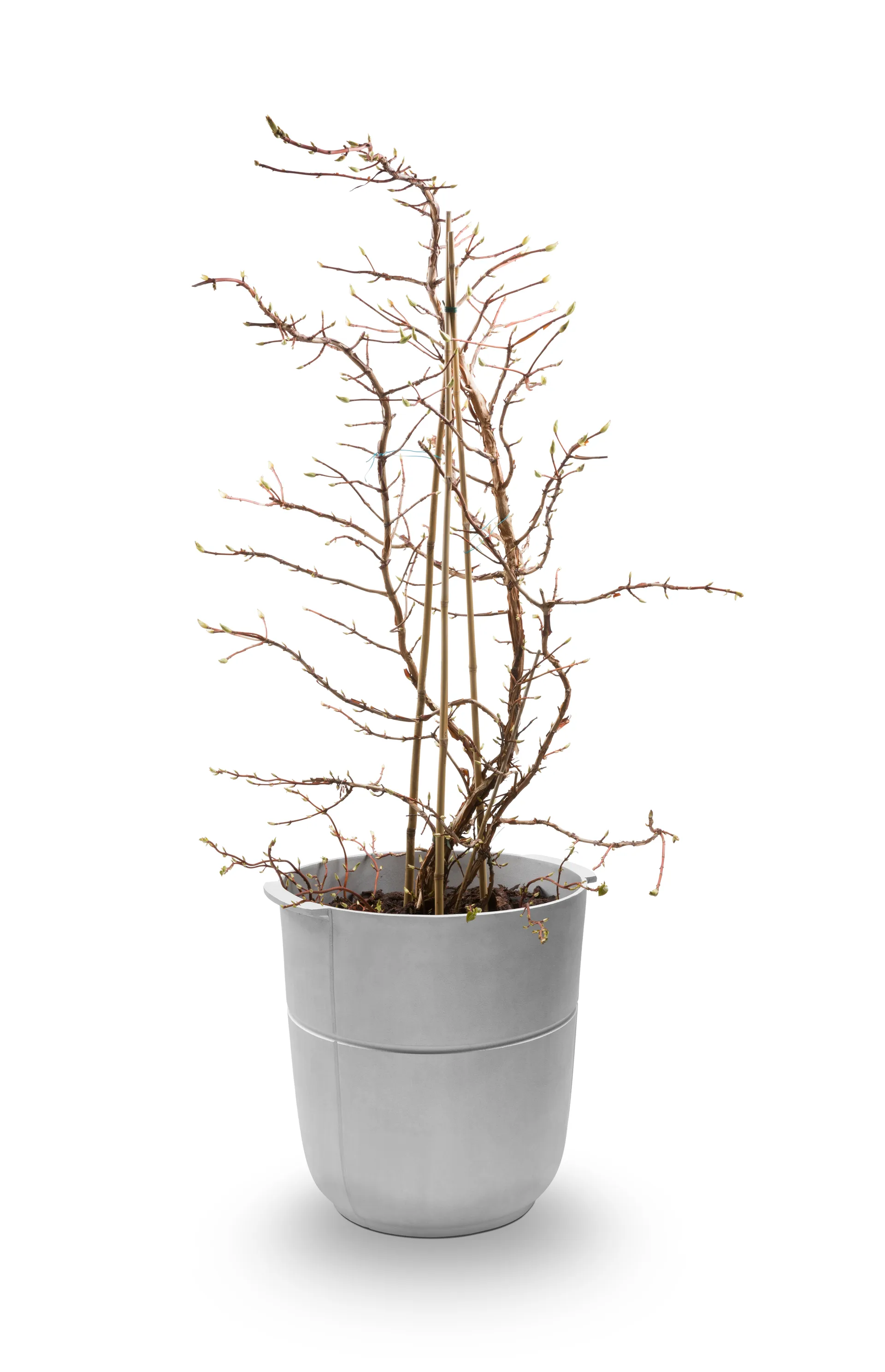 Γλάστρα Linea Νο 1 ψηλή, Αλουμίνιο KORBO