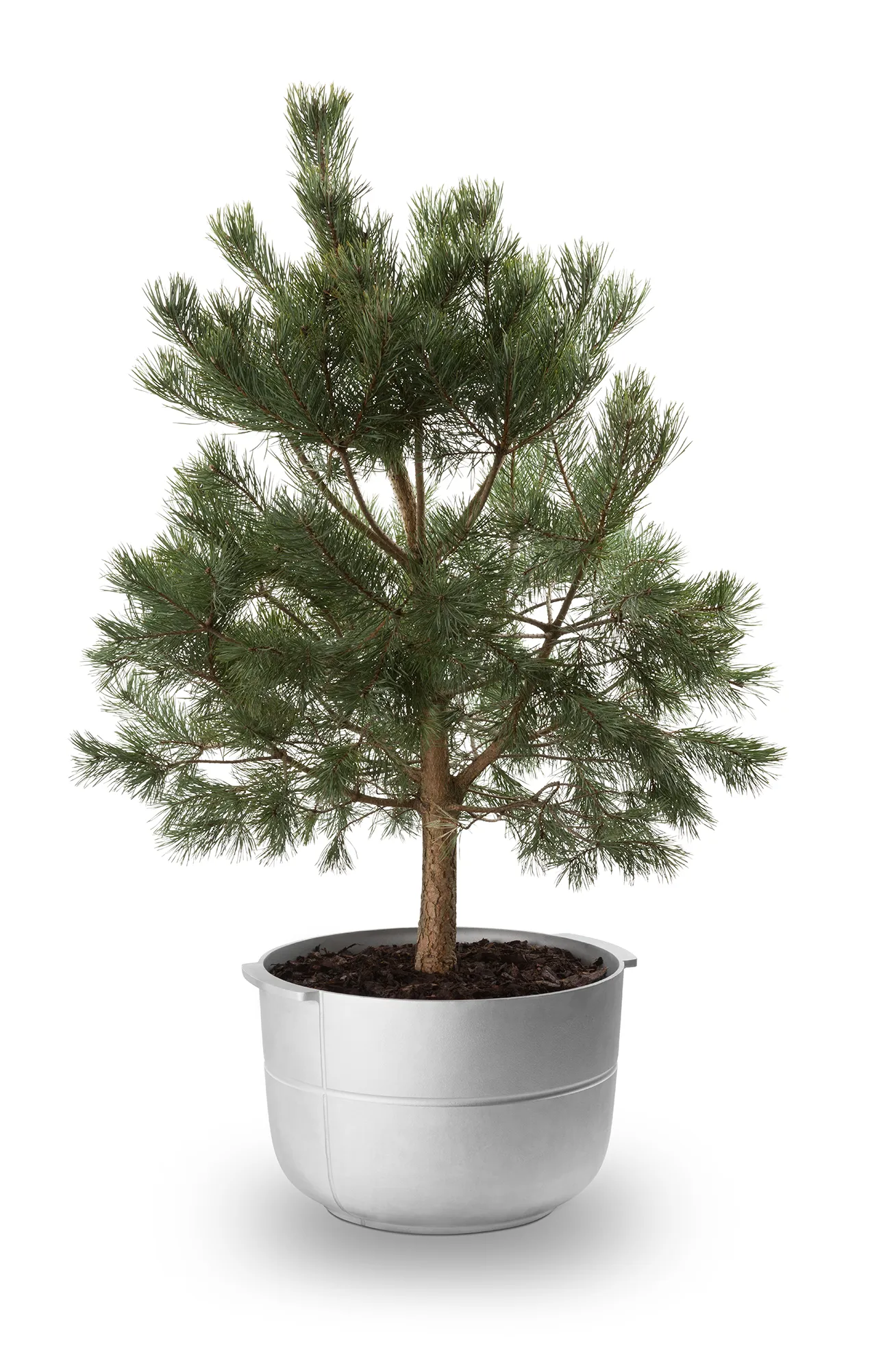 Γλάστρα Linea Νο 2 μεσαία, Αλουμίνιο KORBO