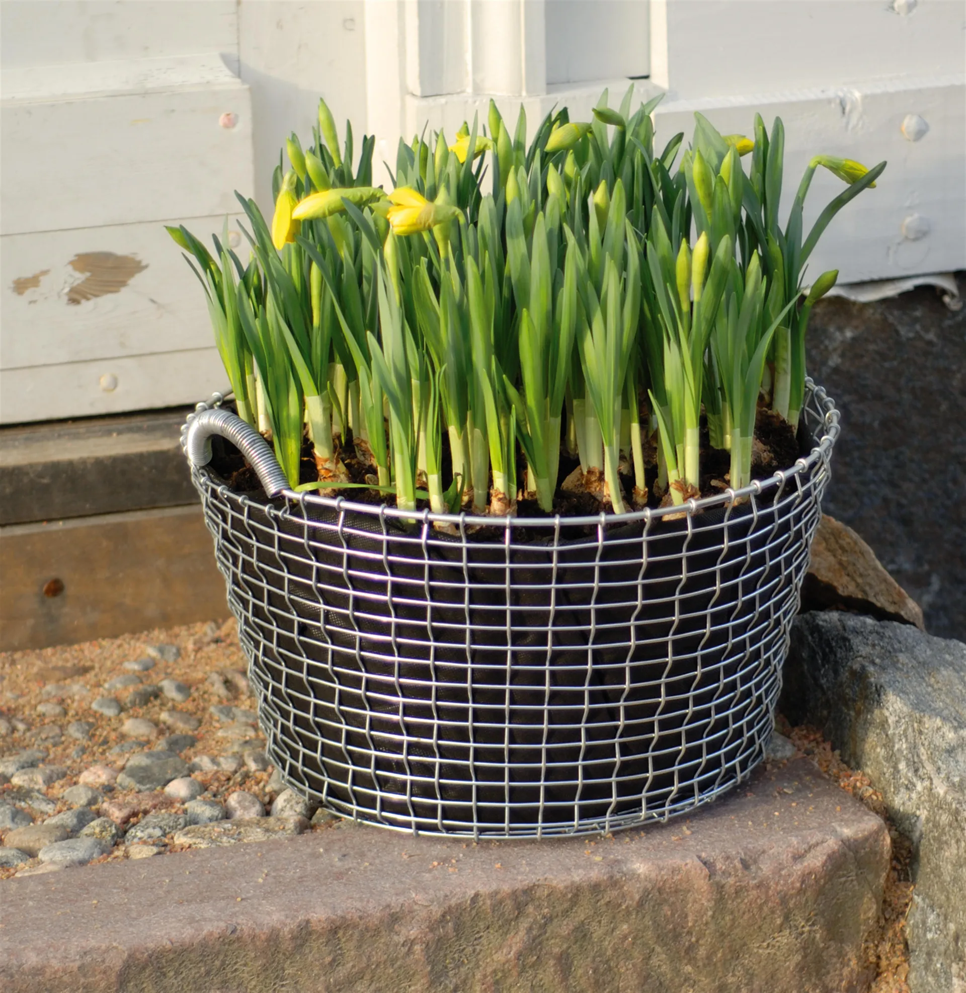 Plant bag for the Korbo καλάθι Συσκευασία 3 τεμαχίων, 24 l KORBO