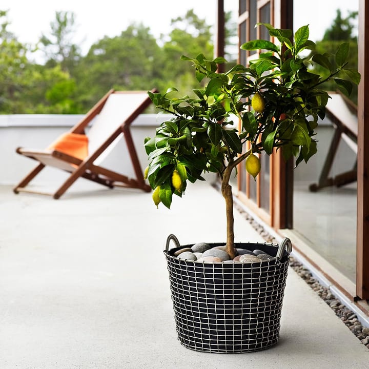 Plant bag for the Korbo καλάθι Συσκευασία 3 τεμαχίων - 24 l - Korbo