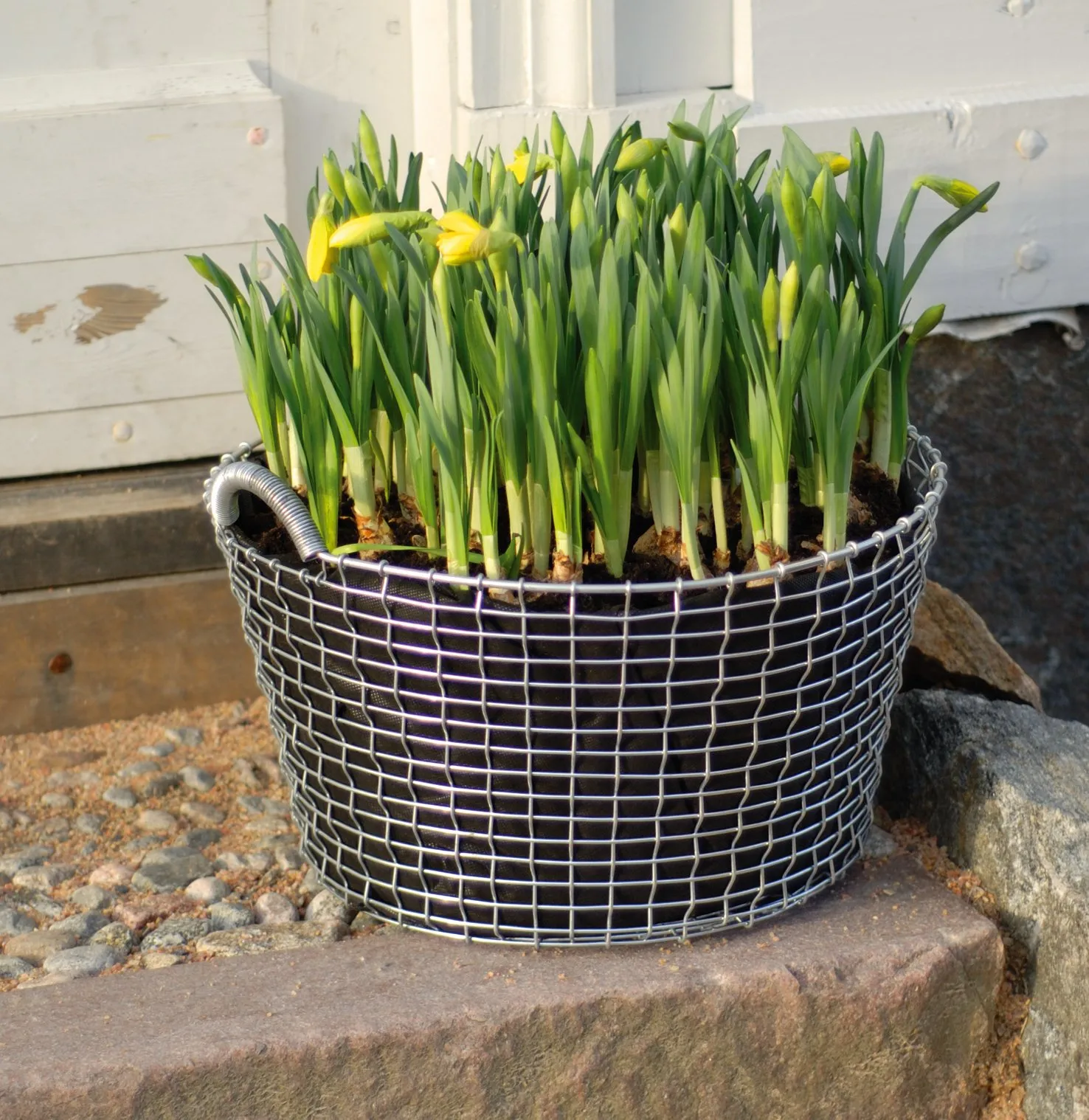 Plant bag for the Korbo καλάθι Συσκευασία 3 τεμαχίων, 35 l KORBO