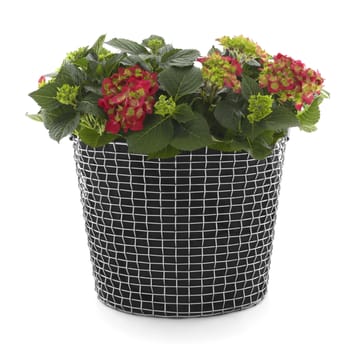 Plant bag for the Korbo καλάθι Συσκευασία 3 τεμαχίων - 50 l - KORBO