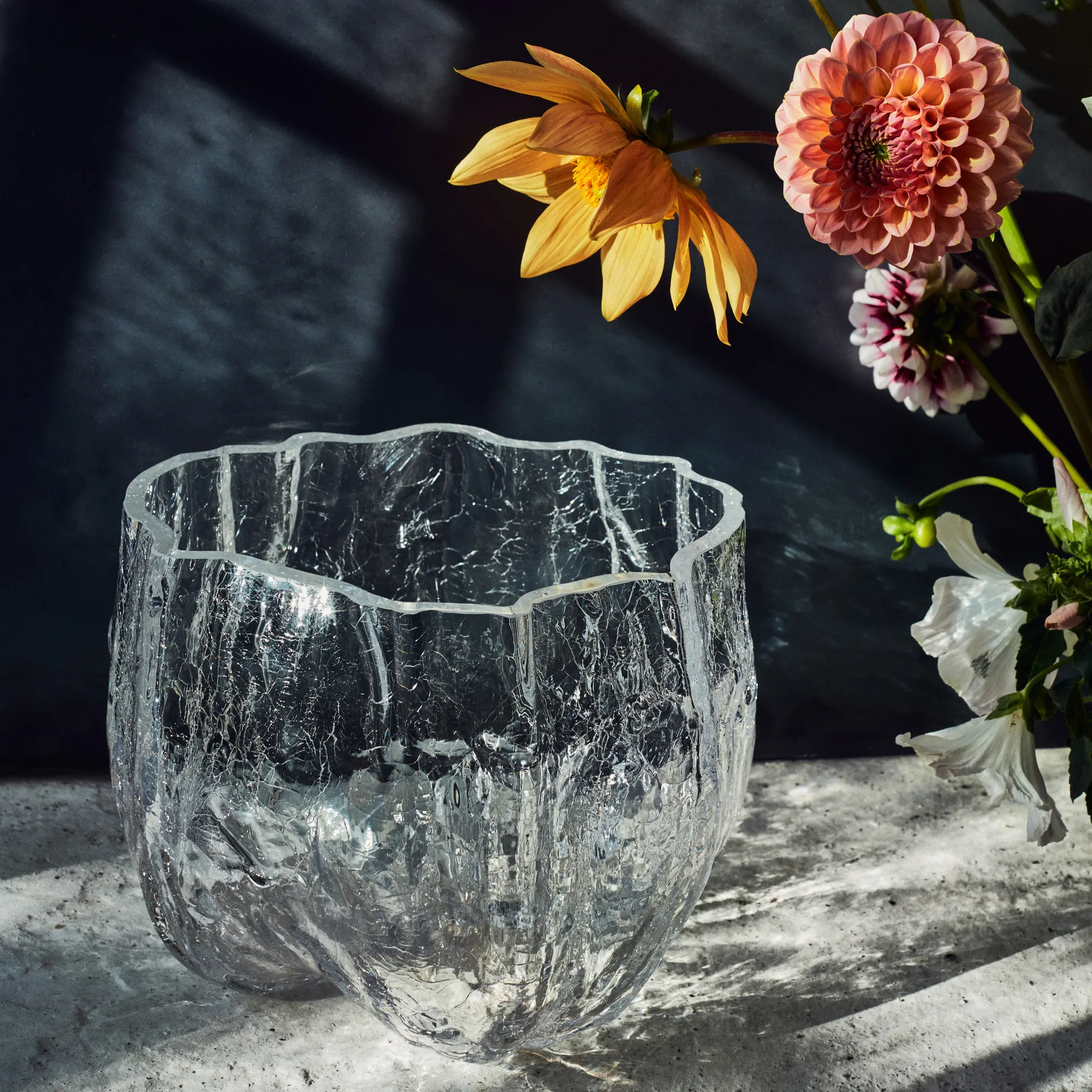 Crackle μπολ μεγάλο, διαφανές Kosta Boda