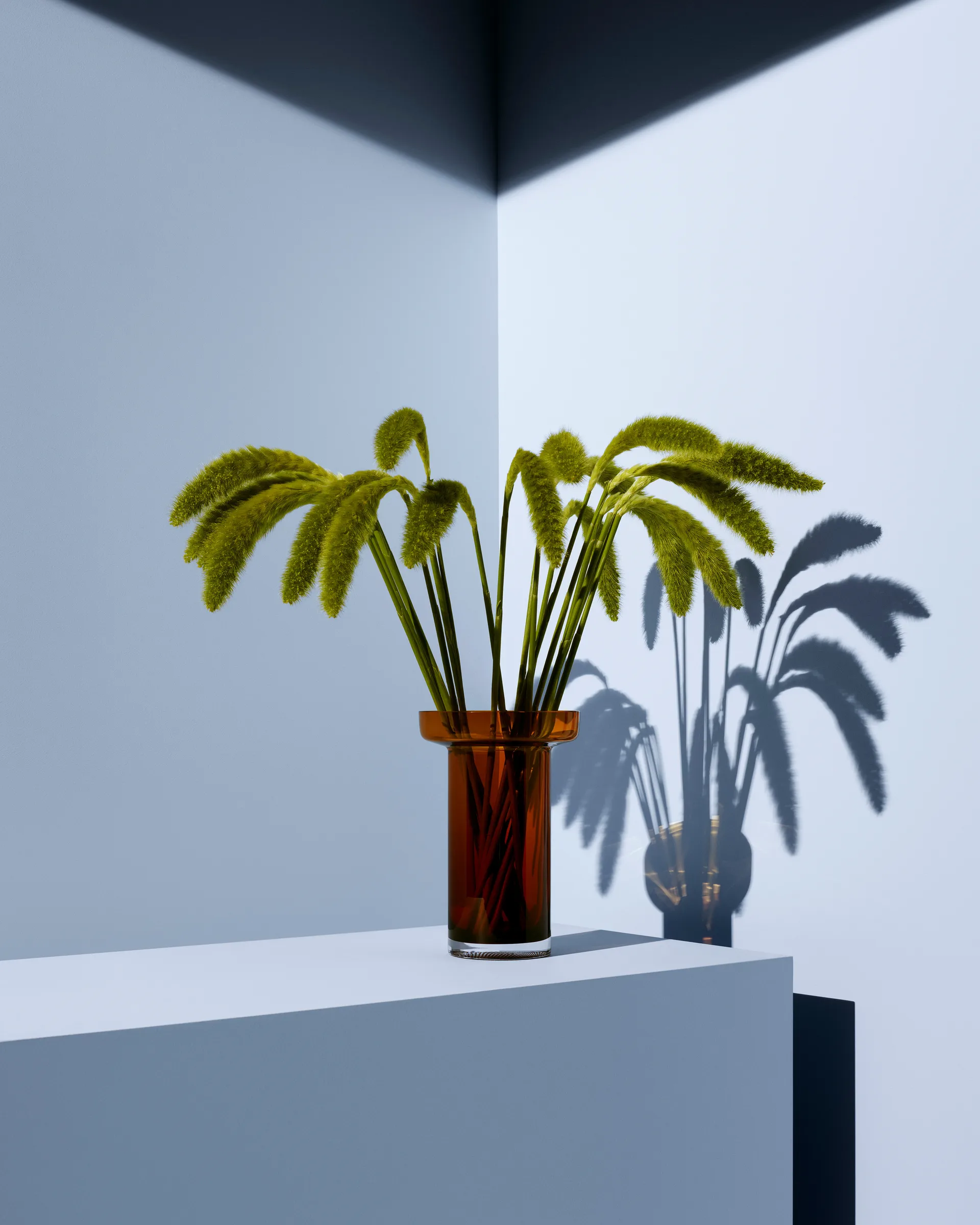 Limelight Rose βάζο 23 εκ., Κεχριμπάρι Kosta Boda