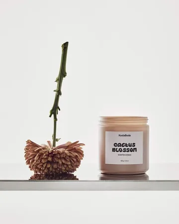 Αρωματικό κερί Mind - Cactus Blossom, 330 g - Kosta Boda