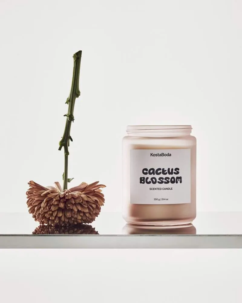 Αρωματικό κερί Mind, Cactus Blossom, 550 g Kosta Boda