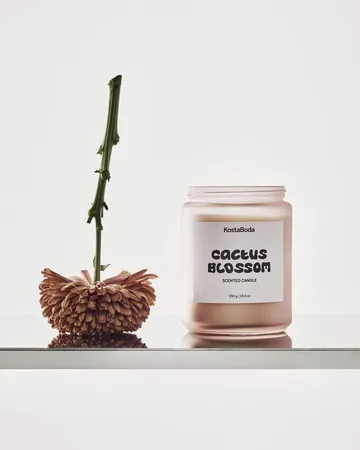 Αρωματικό κερί Mind - Cactus Blossom, 550 g - Kosta Boda