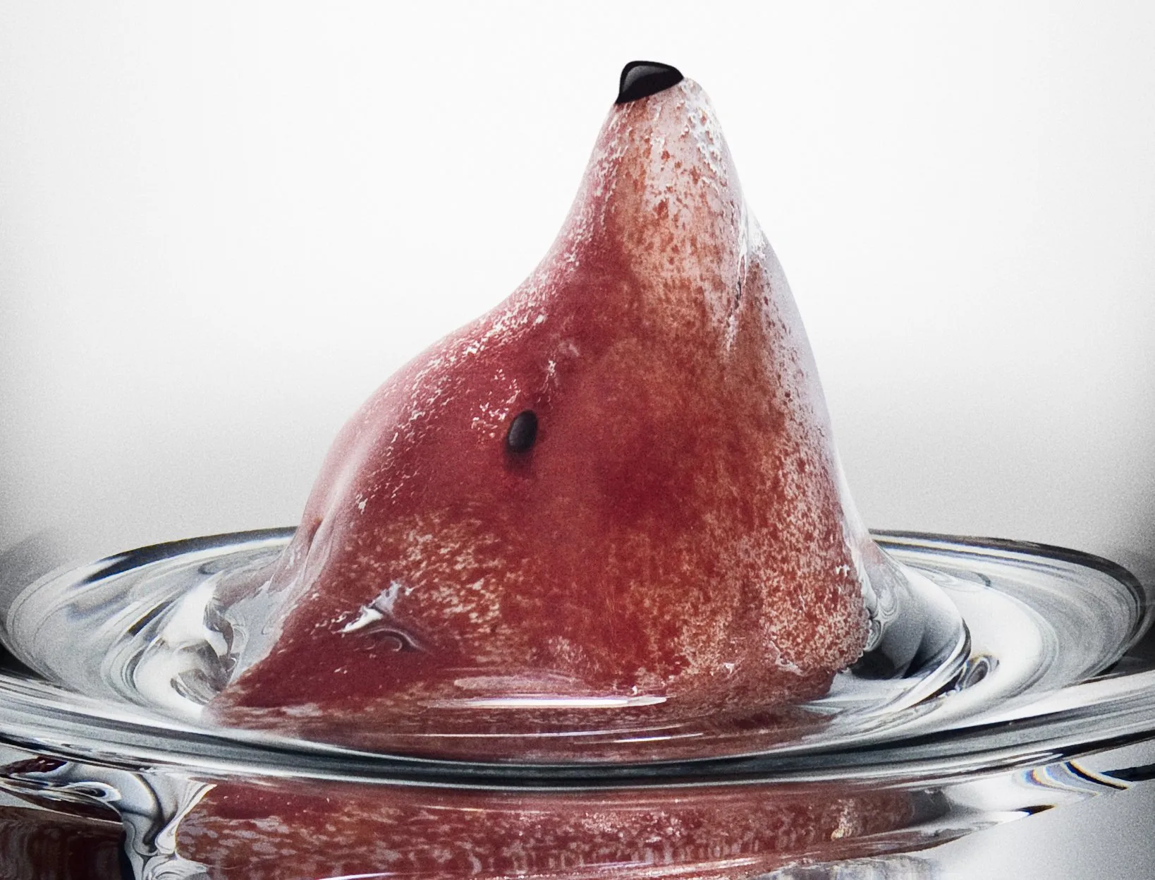 New Friends ποτήρι 46 cl, Fox Kosta Boda