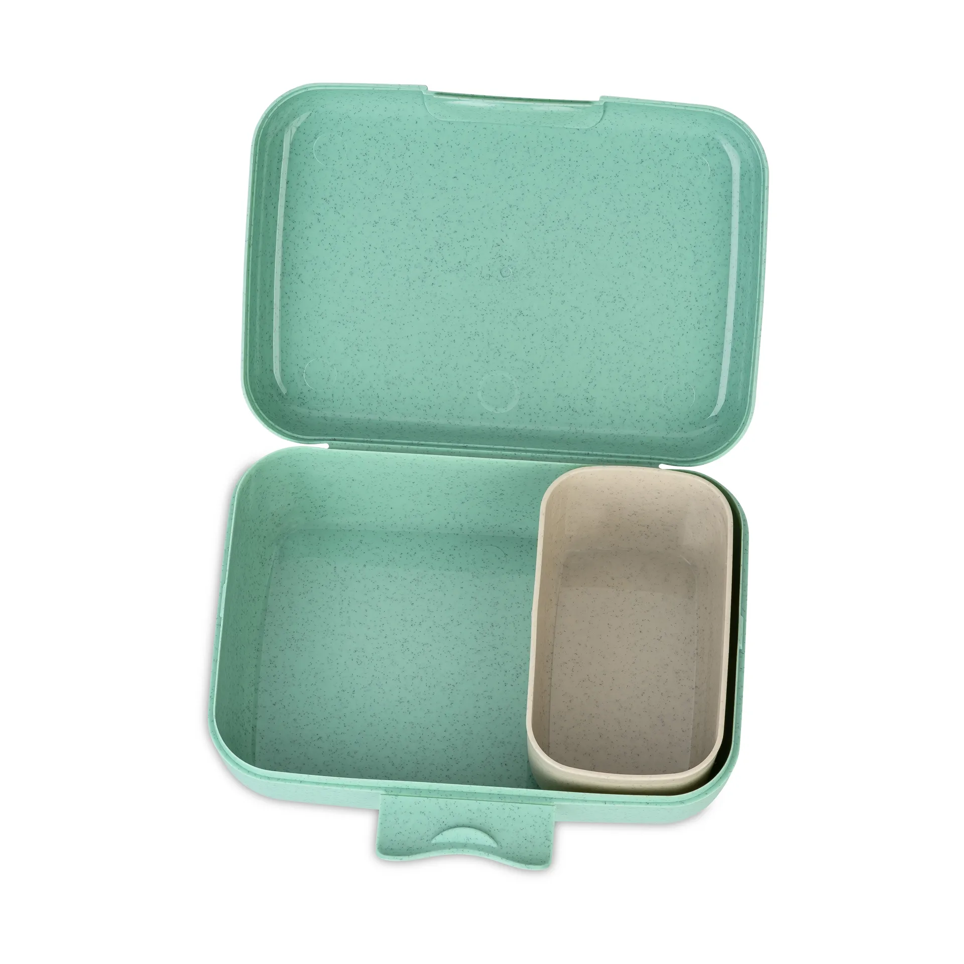 Candy lunch box L, Δεινόσαυρος Koziol