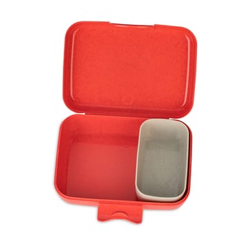 Candy lunch box L - Όνειρα - Koziol
