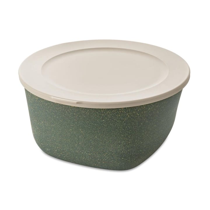 Connect bowl/jar with lid 4 l - Natural ash γκρι - Koziol