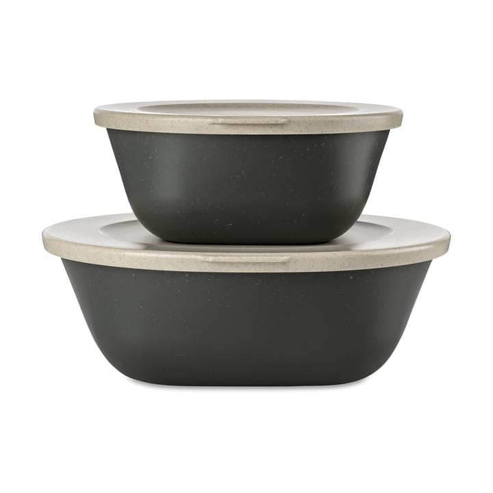 Connect Kopenhagen bowl with lid set of 2 - Natural ash γκρι - Koziol