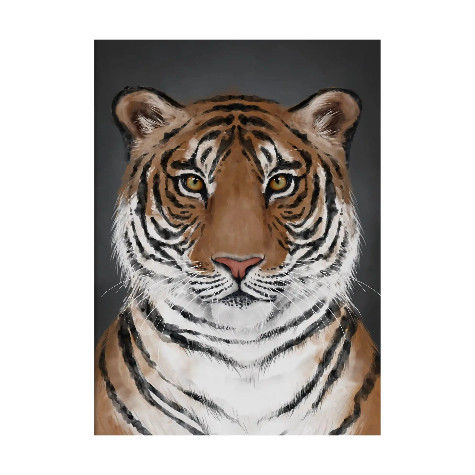 Tiger αφίσα, 30x40 εκ. Kunskapstavlan®