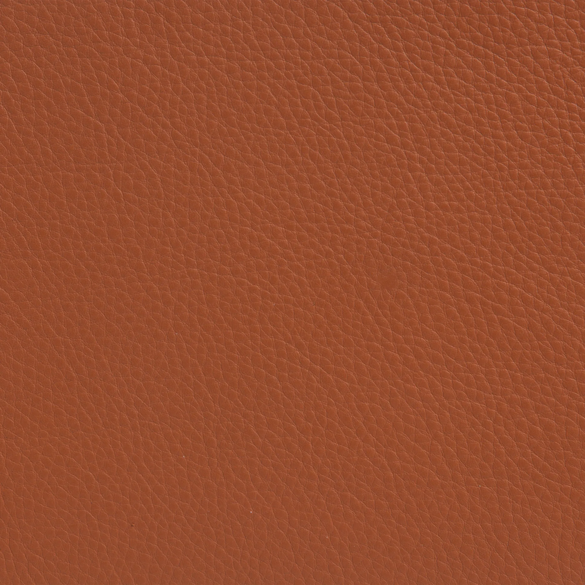 Sunny πολυθρόνα με μπράτσα, Δέρμα Cognac-χρωμίου σκελετός με ροδάκια Lammhults