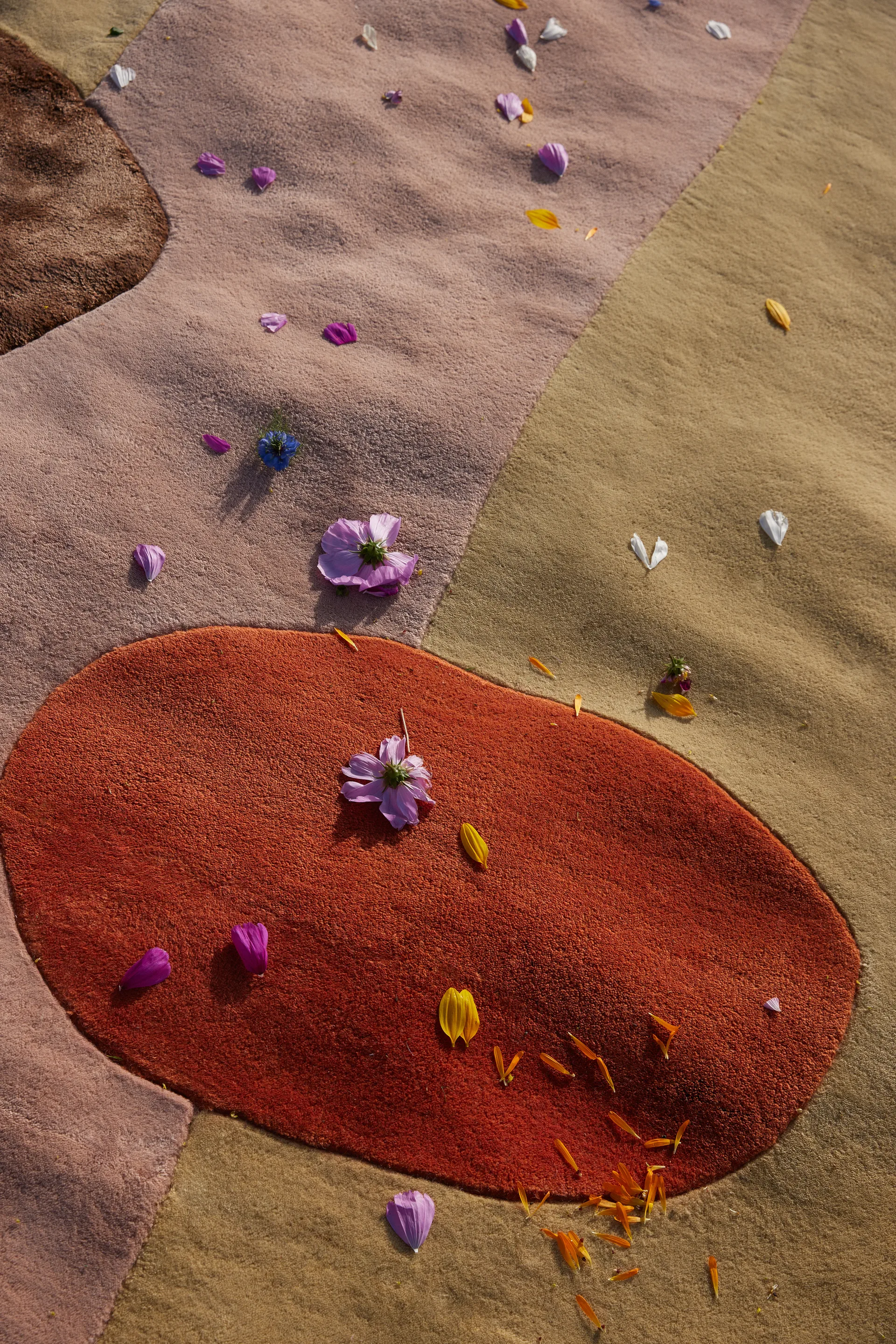 Magical μάλλινο χαλί κήπου, 200x300 cm Layered