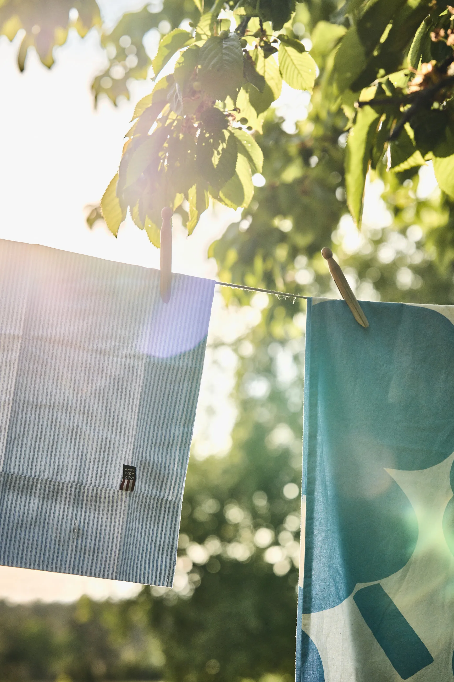 Icons Pin Point μαξιλαροθήκη 50x60 cm, μπλε-λευκό Lexington