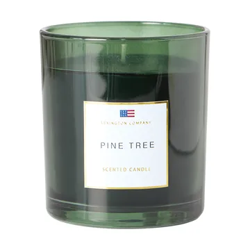 Pine Tree αρωματικό κερί - Pine Tree αρωματικό κερί - Lexington