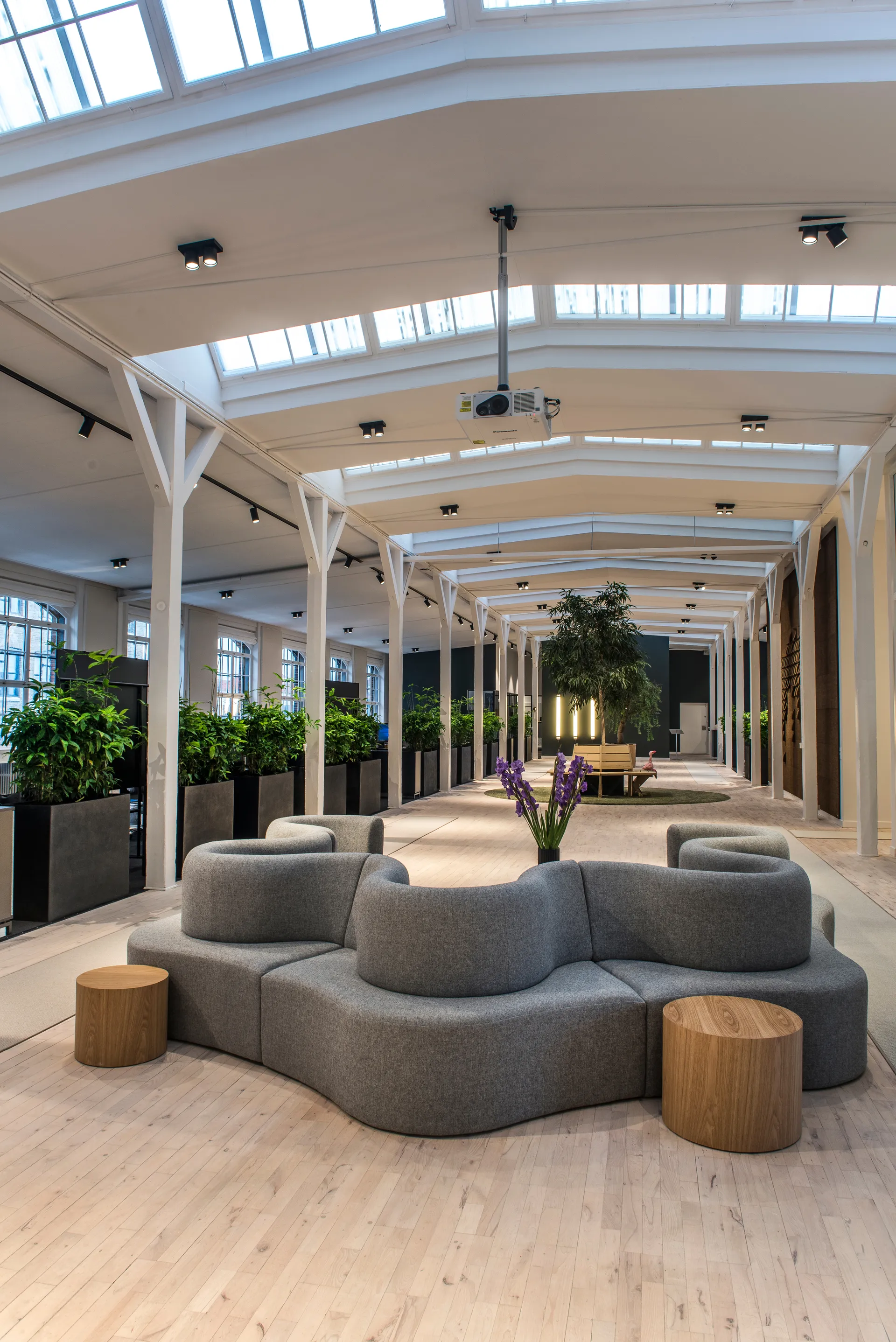 Focus 2 φωτιστικό τοίχου και οροφής switch tune, Black Light-Point