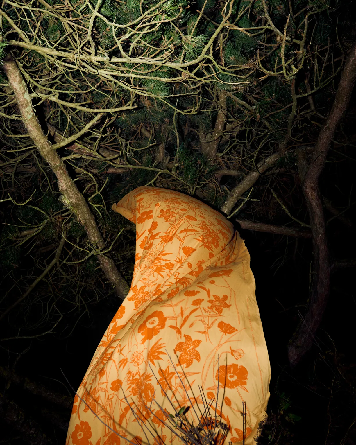 Πανί από βαμβάκι Perenna, Caramel-burnt orange Marimekko