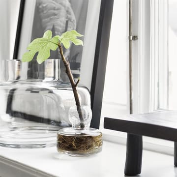 Βάζο Urna 21 cm - διαφανές - Marimekko