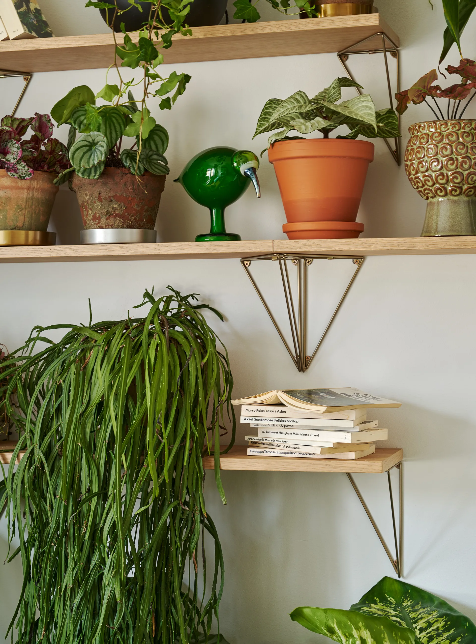 Pythagoras ράφι, δρυς Maze