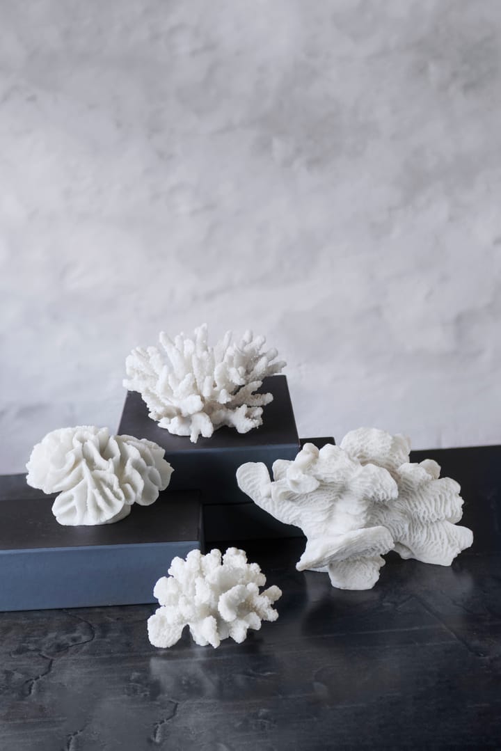 Coral branches white, Μικρός Mette Ditmer