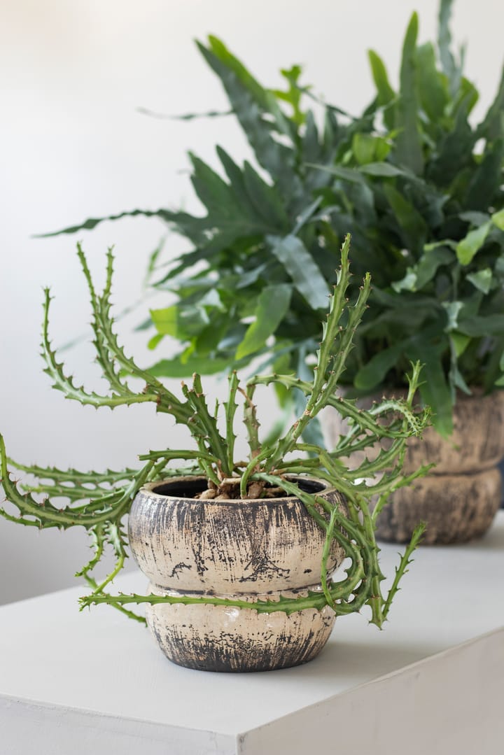 Raw γλάστρα Ø17 cm, Off-white Mette Ditmer
