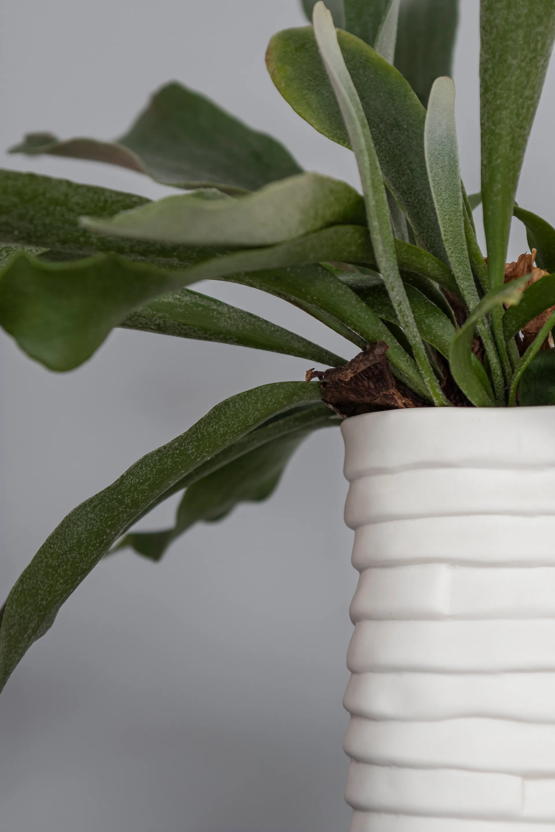 Βάζο Ribbon, μεγάλο 20 εκ., Υπόλευκο Mette Ditmer