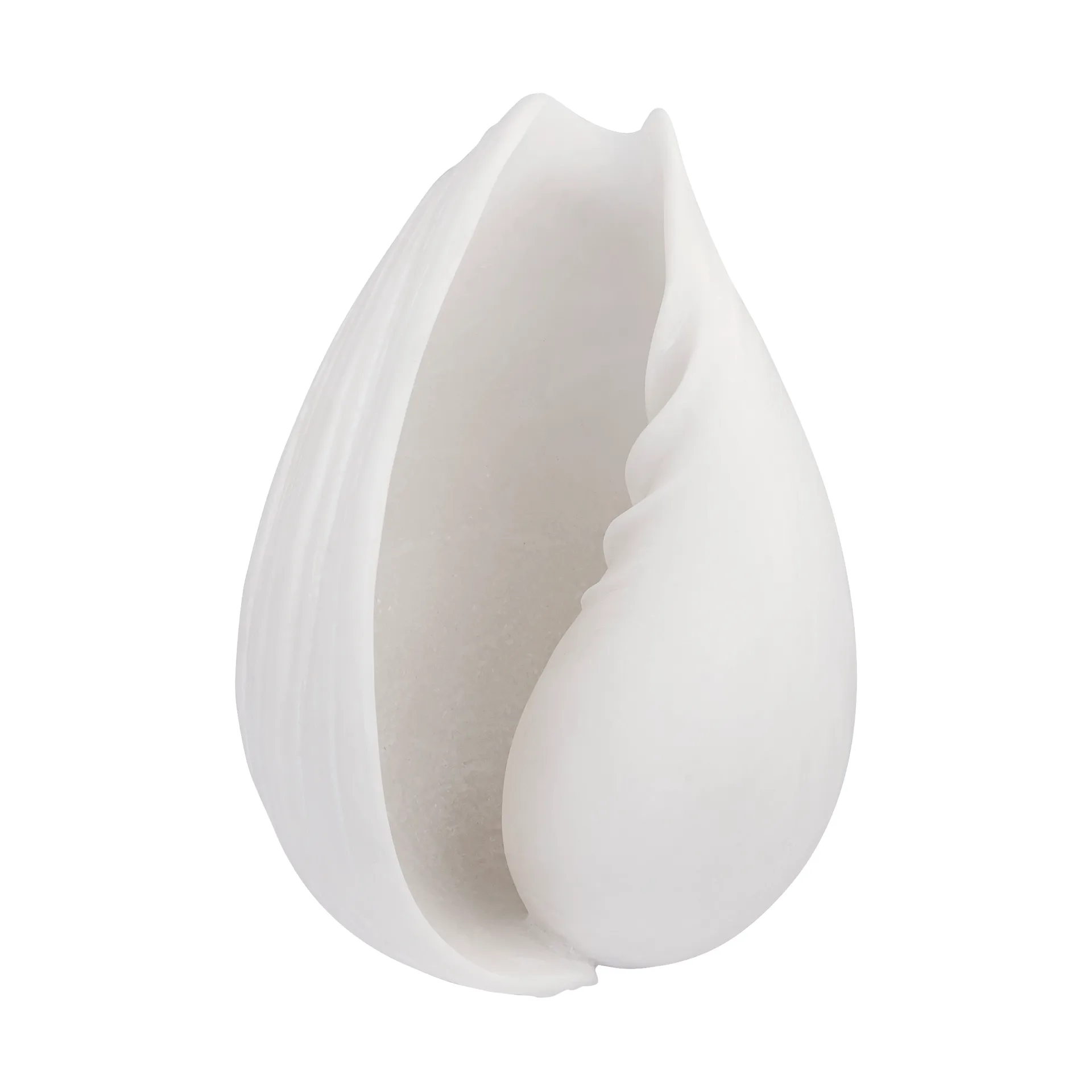 Κοχύλι διακοσμητικό κέλυφος, Μικρό Mette Ditmer