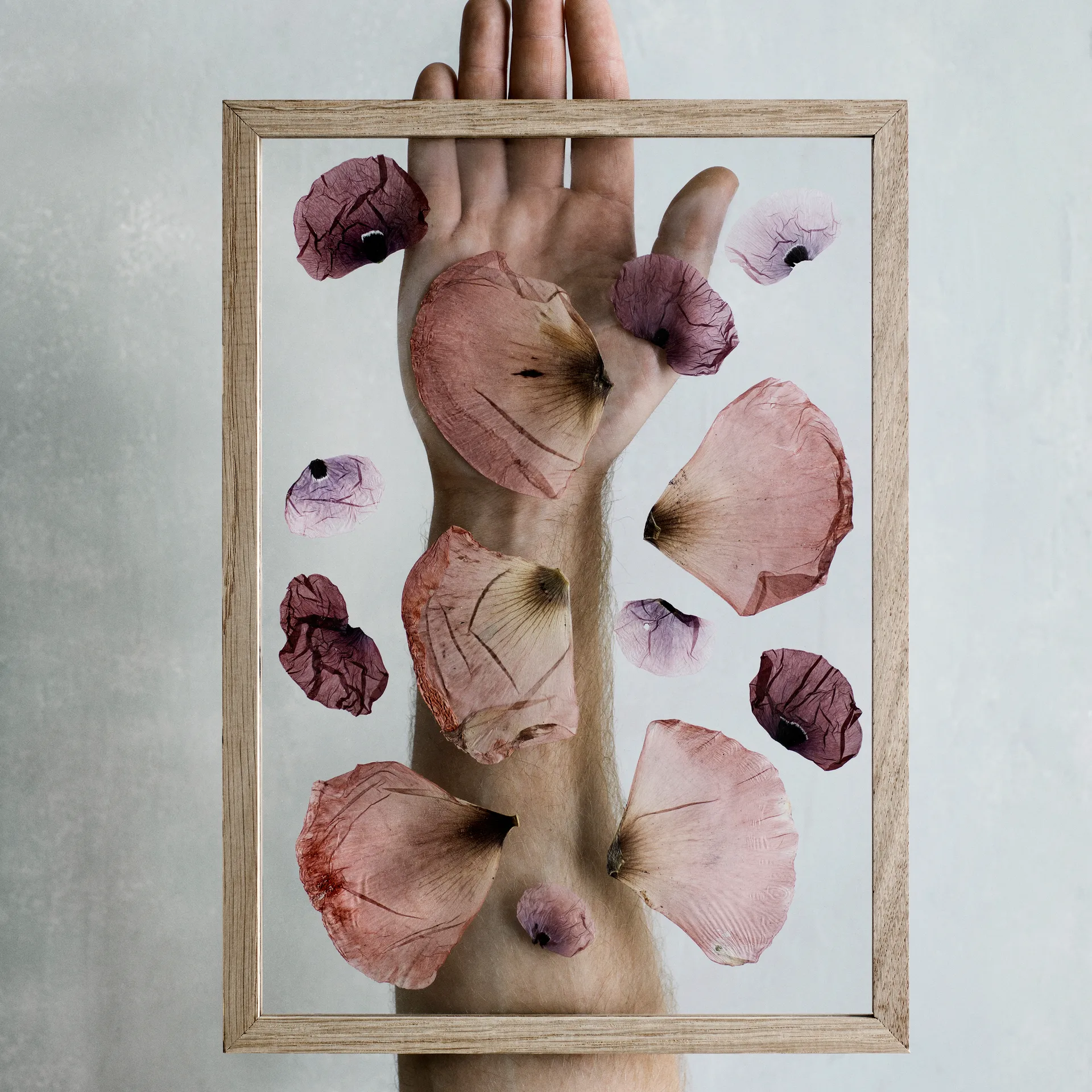 Moebe κορνίζα A4 23x31,7 cm, Δρυς MOEBE