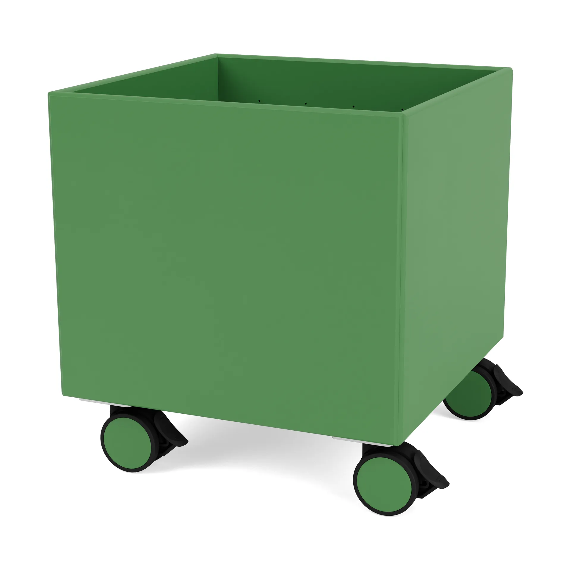 Colour Box I – S6161, Parsley Montana