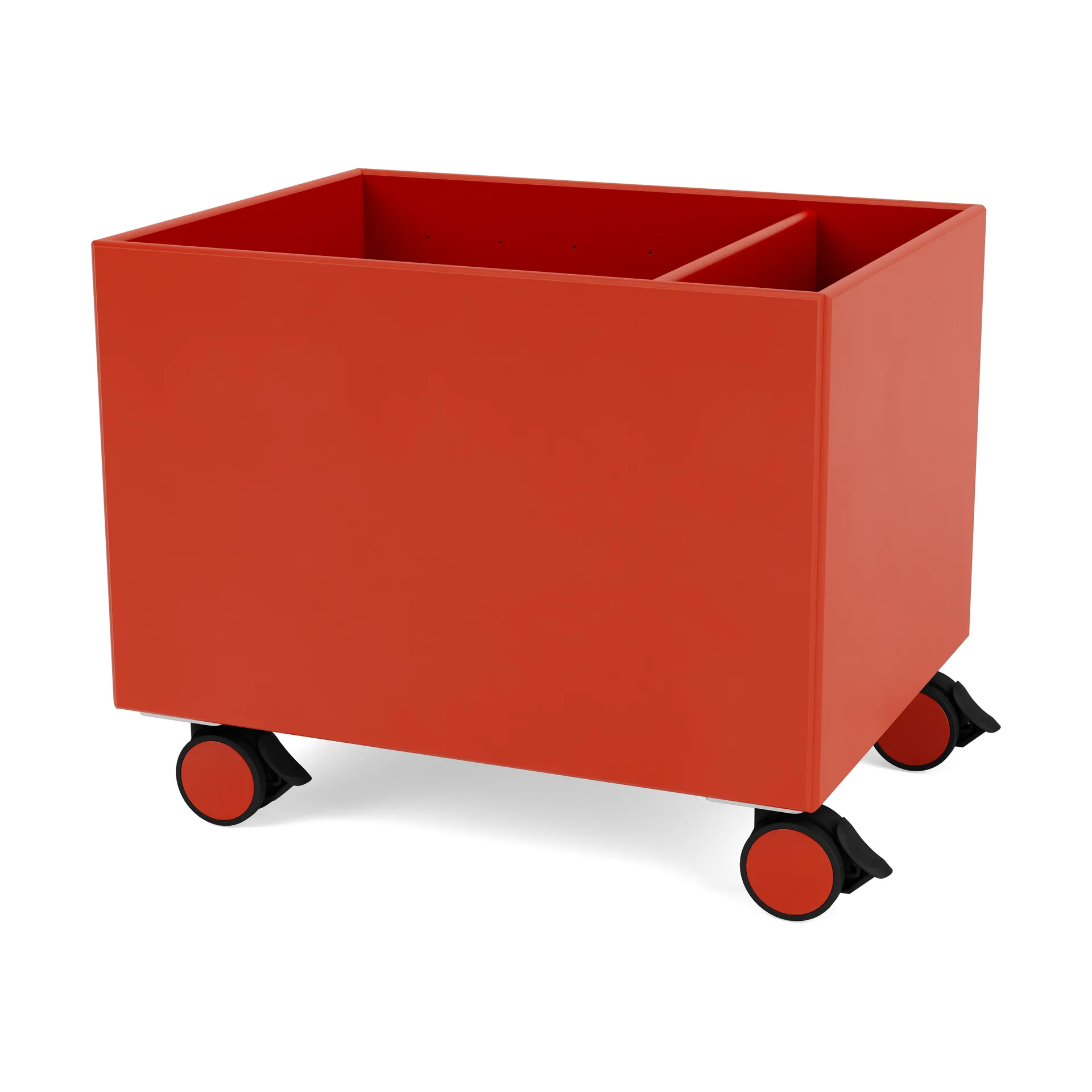 Colour Box II, Rosehip Montana