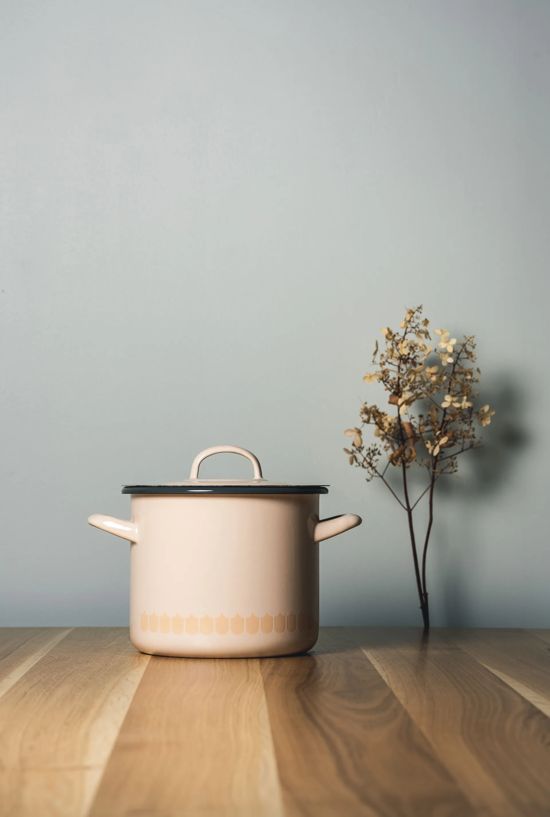 Vappu εμαγιέ σκευός με καπάκι για μαγείρεμα 2,5 l, Μπεζ Muurla