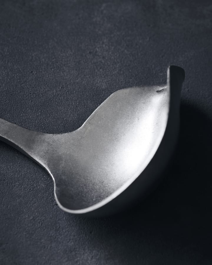 Nicolas Vahé Daily κουτάλα ανοξείδωτο ατσάλι, 25 cm Nicolas Vahé