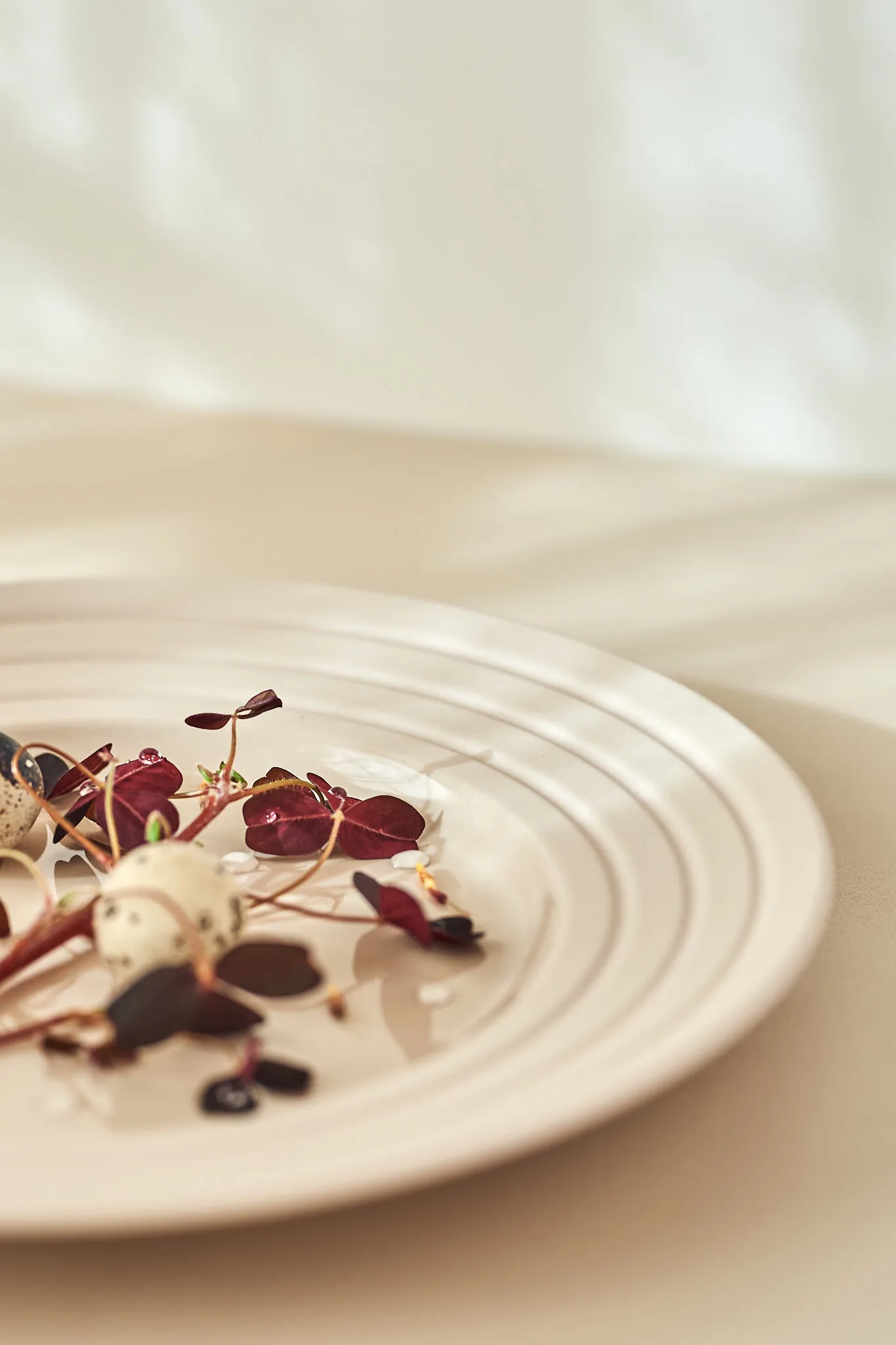 Lines πιάτο Ø 27 cm συσκευασία με 6 τεμ., μπεζ NJRD