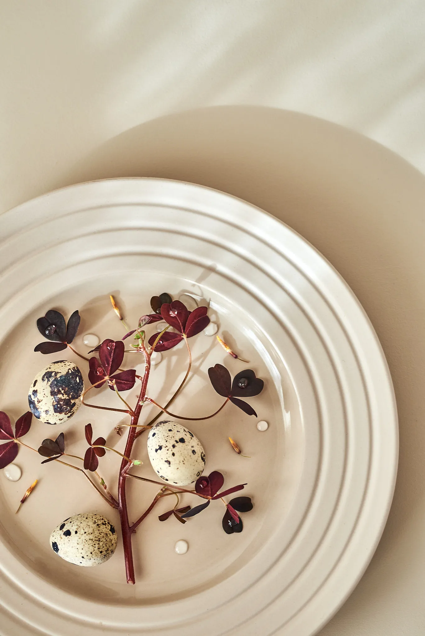 Lines πιάτο Ø 27 cm συσκευασία με 6 τεμ., μπεζ NJRD