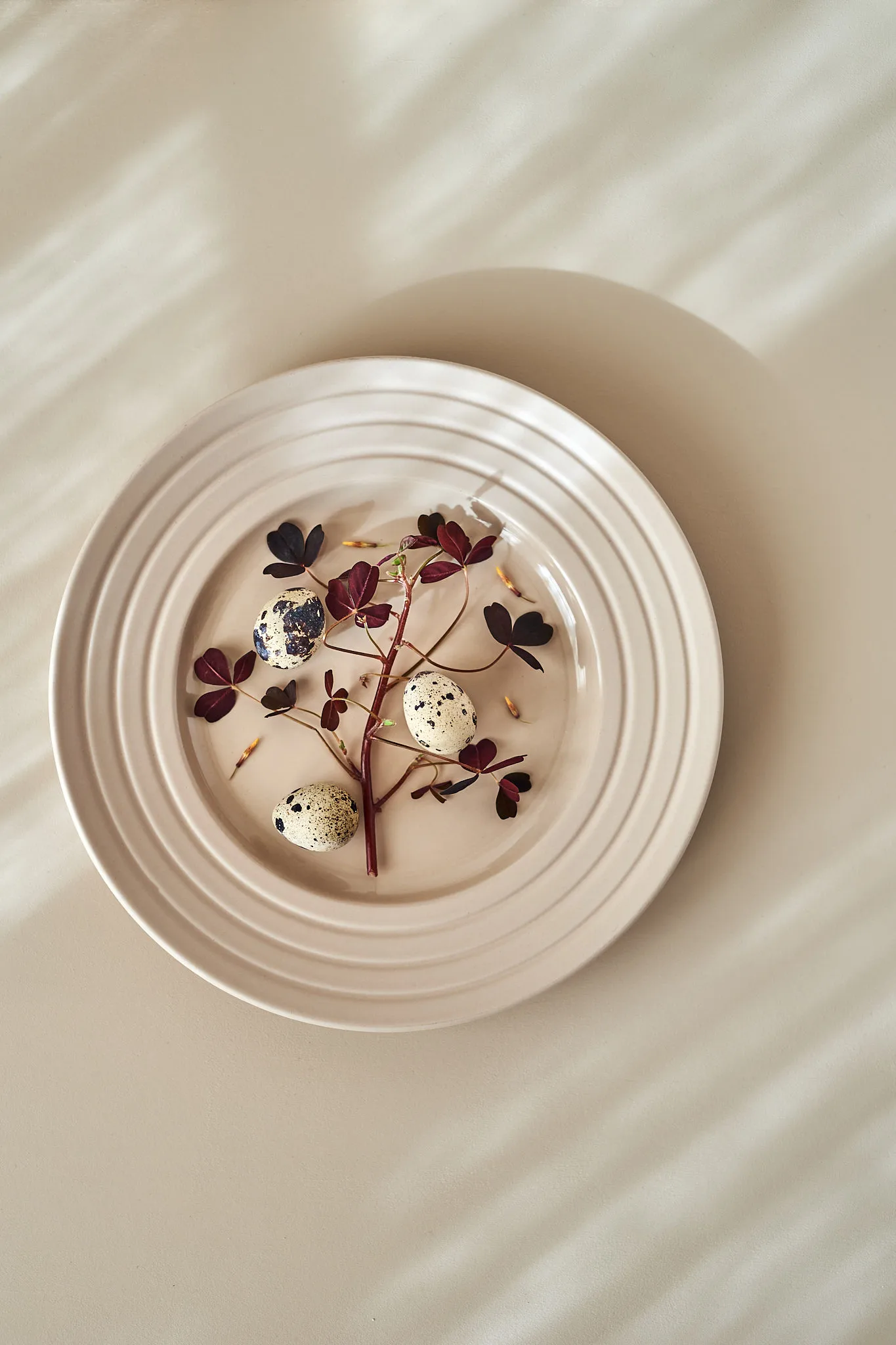 Lines πιάτο Ø 27 cm συσκευασία με 6 τεμ., μπεζ NJRD