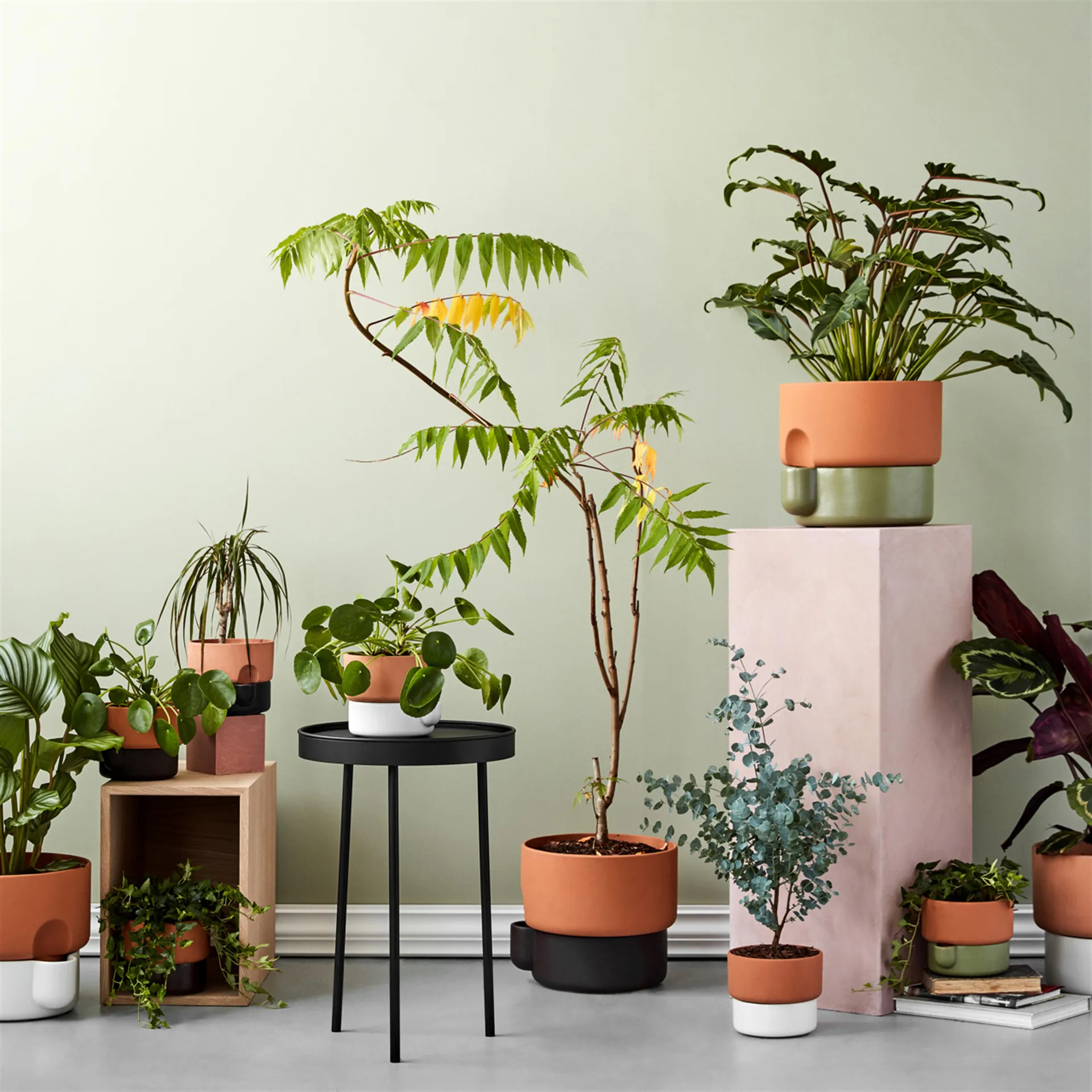 Oasis γλάστρα αυτοποτιζόμενη μικρή, πράσινο Northern