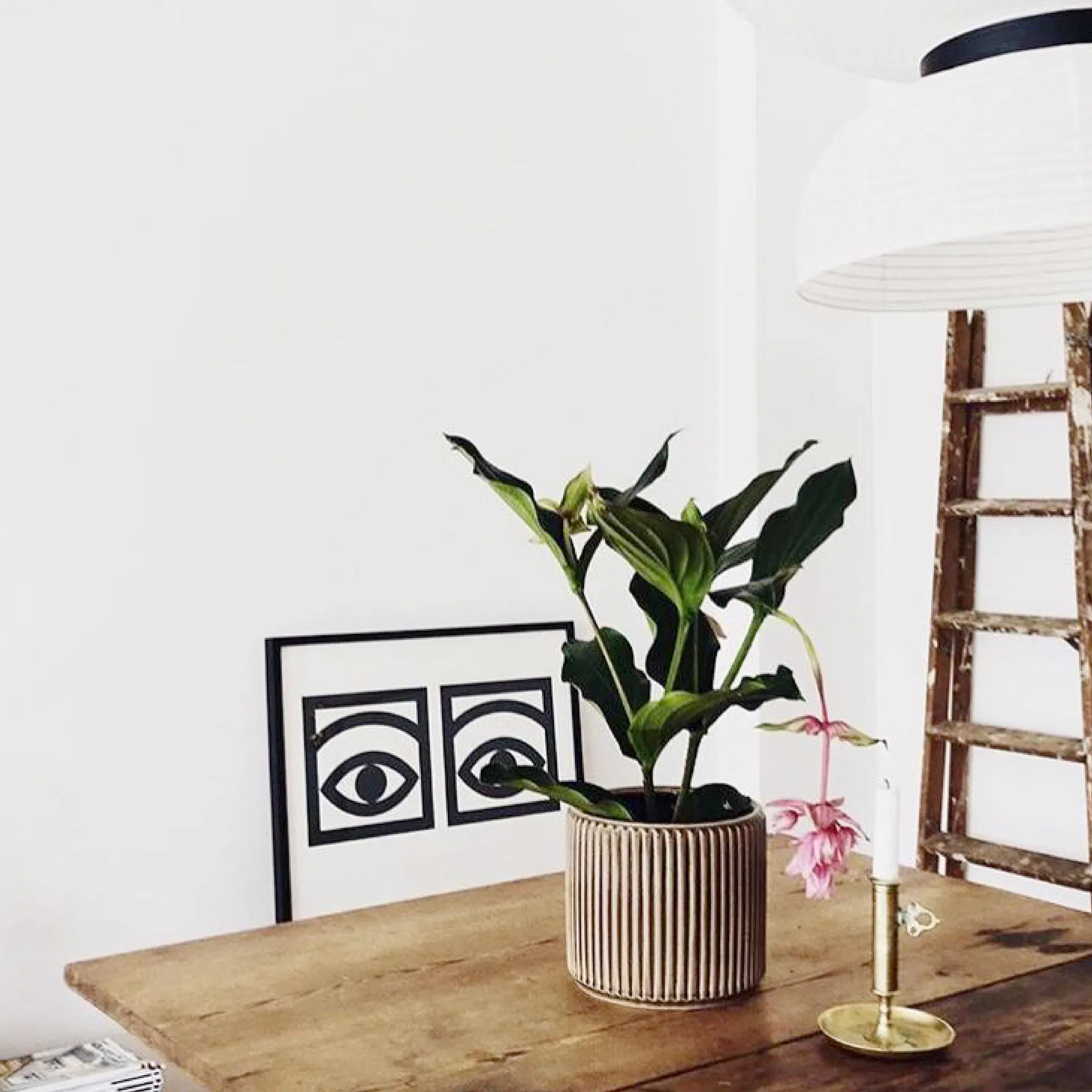 Ögon αφίσα «ένα μάτι», 70x100 cm Olle Eksell