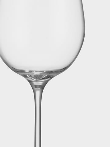 Orrefors x Björn Frantzén ποτήρι σαμπάνιας 2-pack - 28 cl - Orrefors