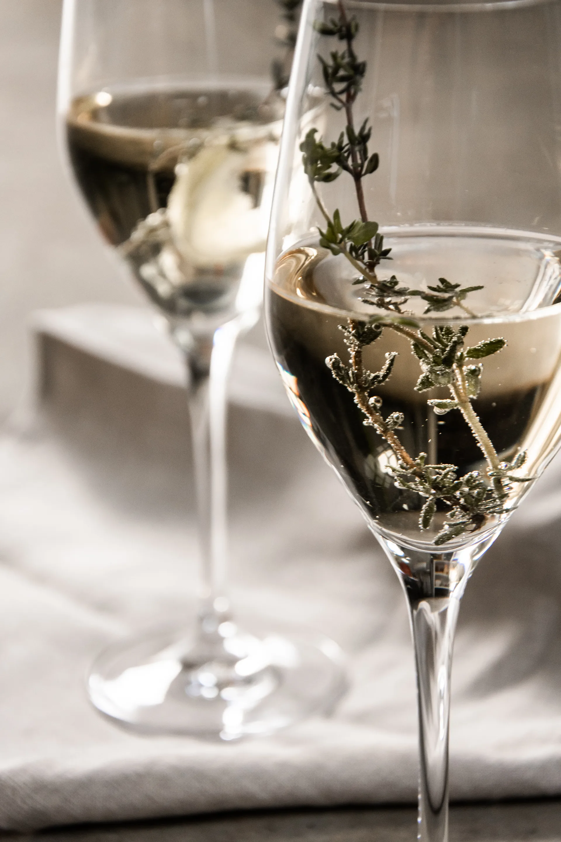 Ποτήρι σαμπάνιας Sense 25,5 cl 6 τεμάχια, Διαφανές Orrefors