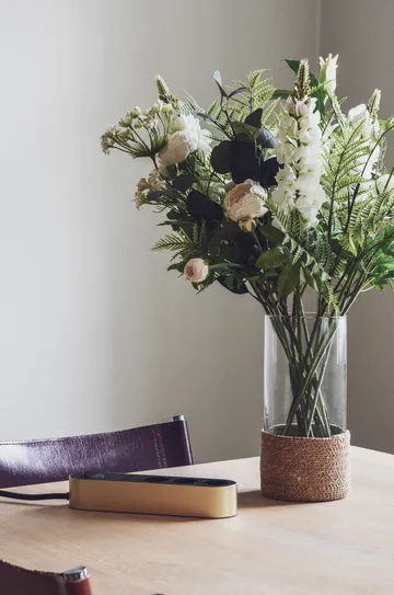 Edgar Power Bar πολύπριζο - Satin ορείχαλκος - palett3