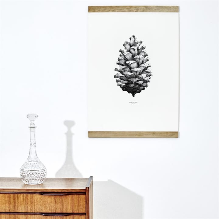 1:1 Pine cone αφίσα - λευκό, 50x70 cm - Paper Collective